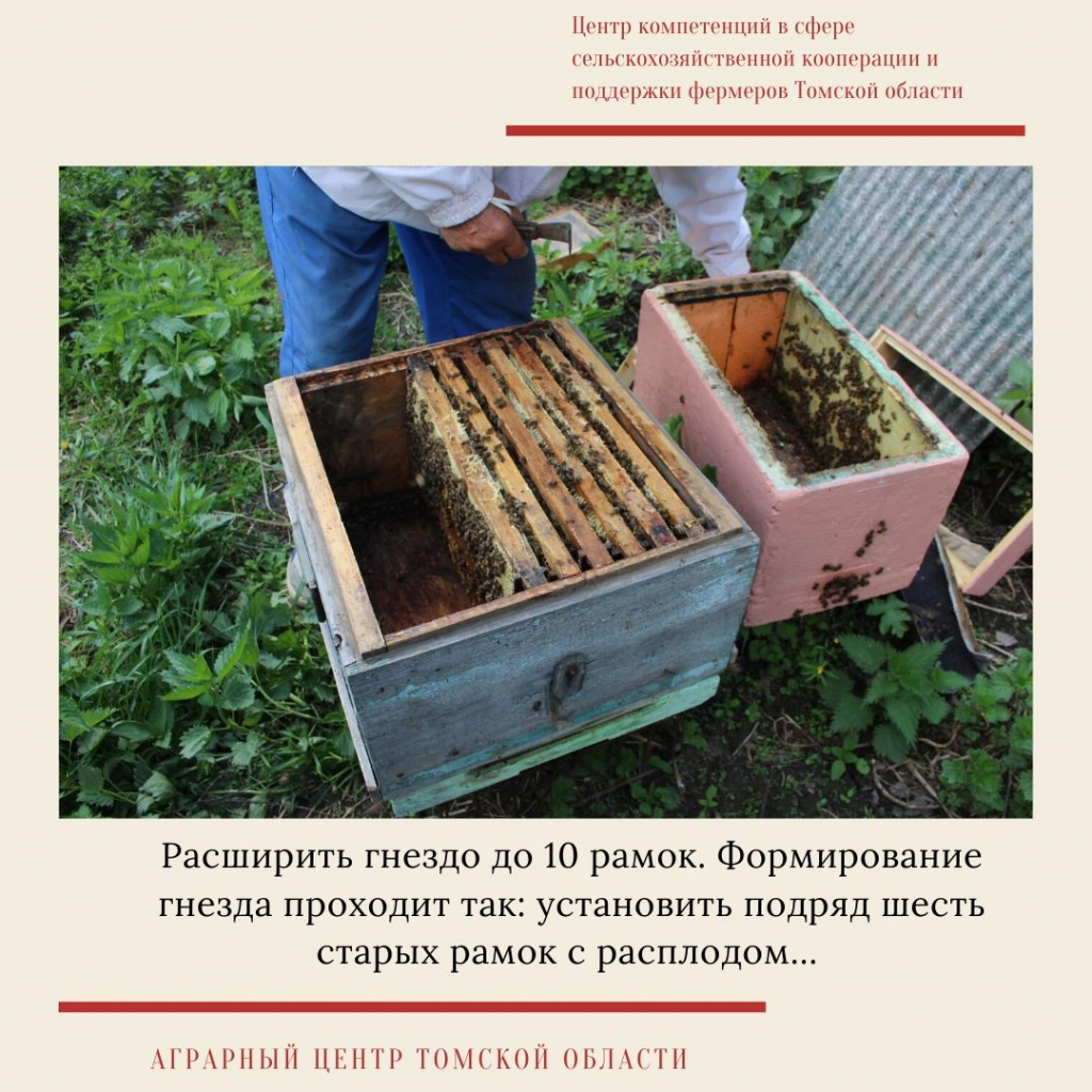 мастер-класс  5.jpg